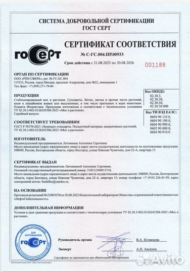 Стабилизированный мох кочка пушистая