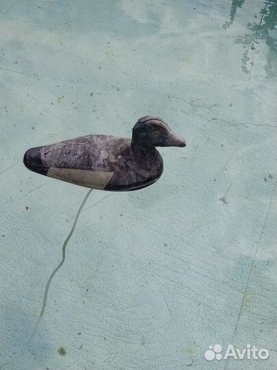 Утки подсадные для охоты