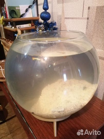 Аквариум СССР