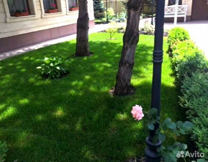 Рулонный газон от производителя