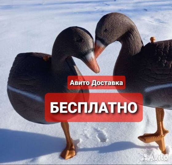 Муляж-чучела гусей (отдыхающие) белолобые