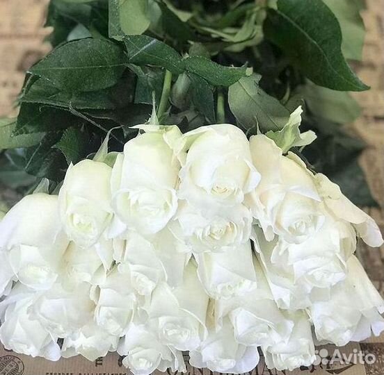 Высокие розы, букеты, цветы Доставка