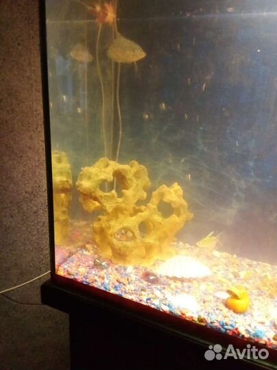 Аквариум с тумбой
