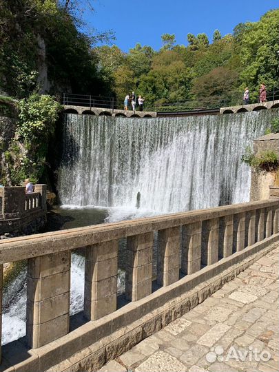 Тур в Абхазию из Сочи / Золотое Кольцо / Рица