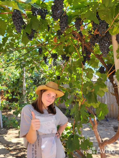 Предложение услуг