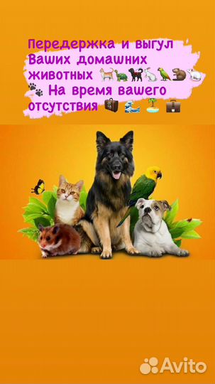 Передержка Вашего Питомца