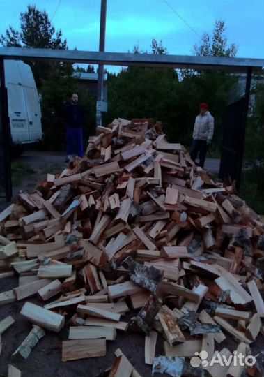 Дрова Береза навалом в Приозерске