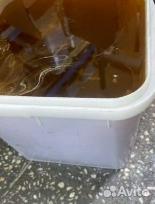 Мед оптом / дягилевый темный