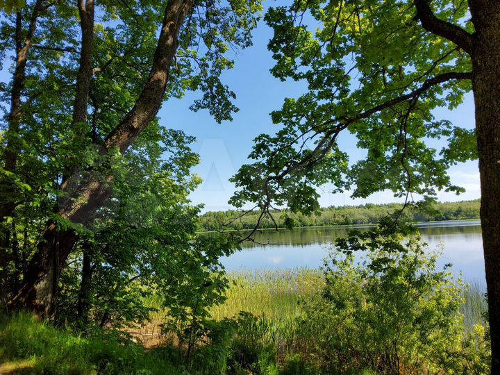 Участок 7,9 сот. (ИЖС)