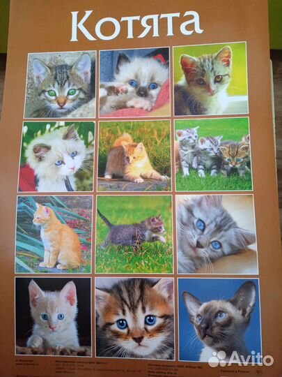 Календари прошлых лет