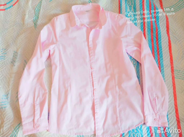 Школьные рубашки и поло Остин на 146-152