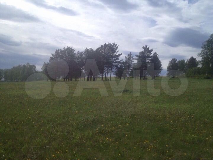 Участок 48 сот. (СНТ, ДНП)