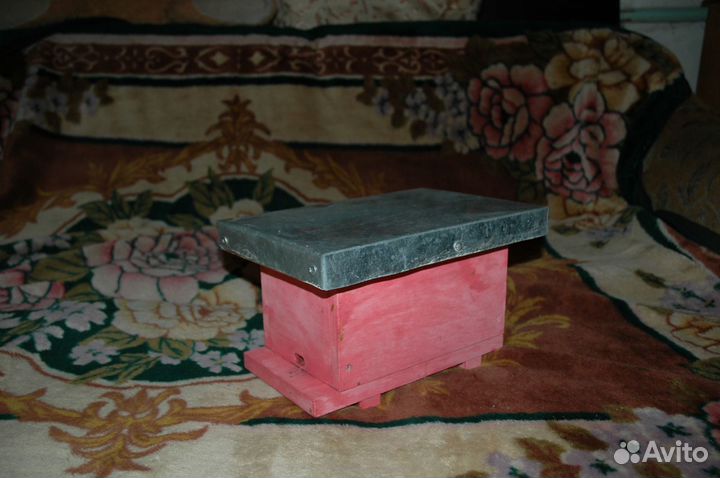 Продам мини нуклеусы