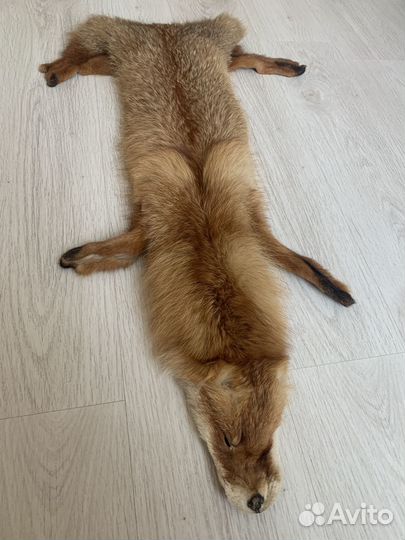 Лисья шкура