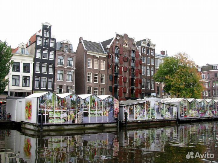 Амстердам Топ-Экскурсия Амстердам изнутри