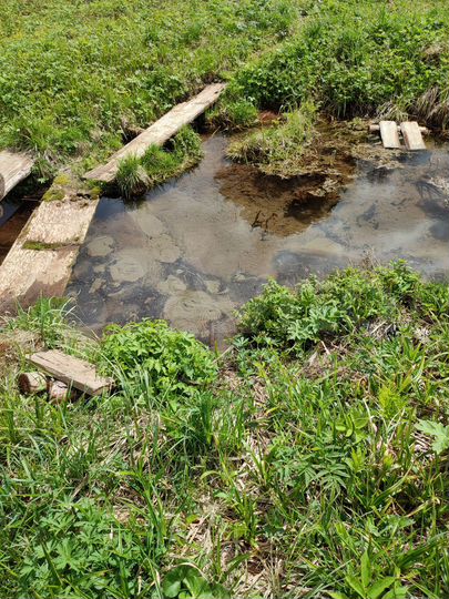 Дом 30 м² на участке 25 сот.