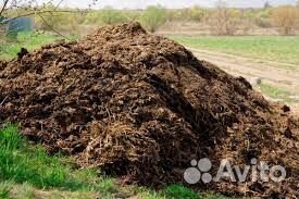 Навоз, перегной грунт плодородный