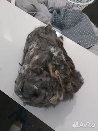 Кошачья шерсть