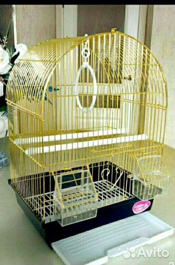 Клетка золотая