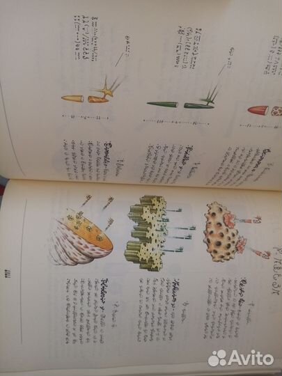 Codex Seraphinianus (Кодекс Серафини)