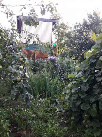 Дача 58 м² на участке 6 сот.