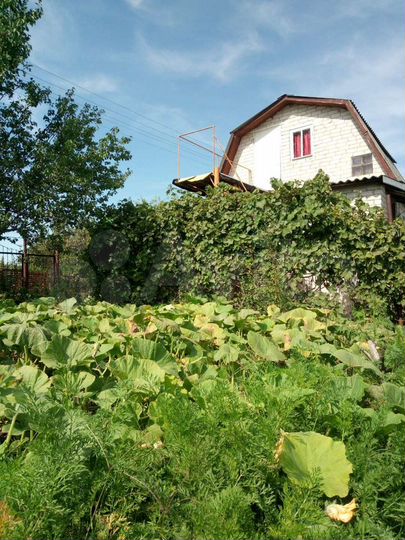 Дача 50 м² на участке 6 сот.