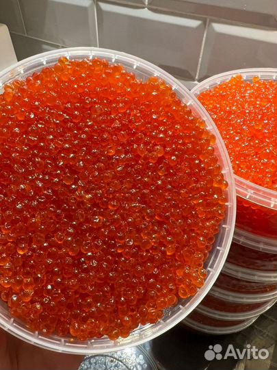 Красная икра кеты