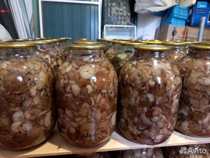 Грибы маринованные