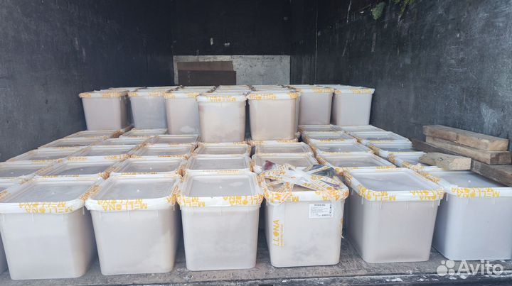 Опт мед натуральный из Алтая от 16 кг