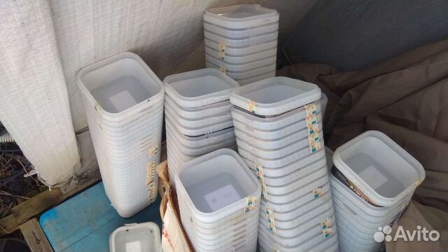 Пластиковые контейнеры, ёмкости с крышками