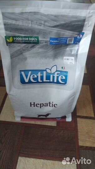 Сухой корм для собак при почечной недостаточности