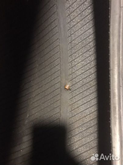 Tourador Winter Pro TSU1 275/45 R21 110V