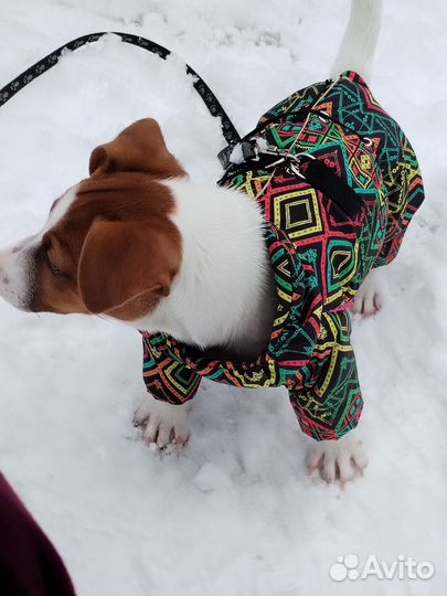 Зимний комбинезон для мальчика