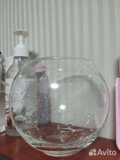 Аквариум круглый 1.5 л с ракушкой