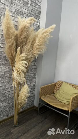 Цветы Пампасные ветки