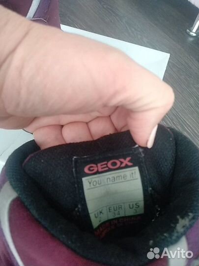 Сапожки geox зимние