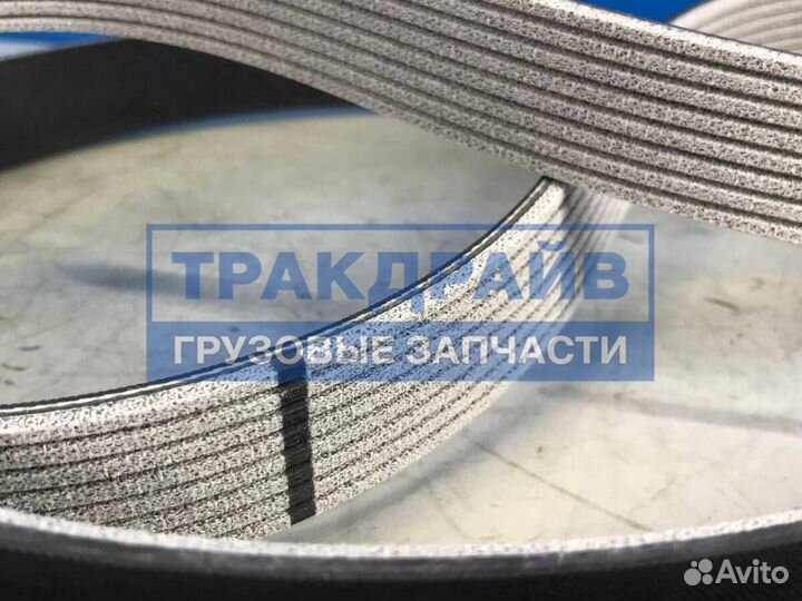 Ремень поликлиновый Мерседес Актрос Аксор 8PK2607
