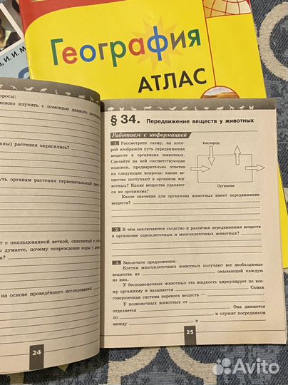 Рабочие тетради 5-6 класс