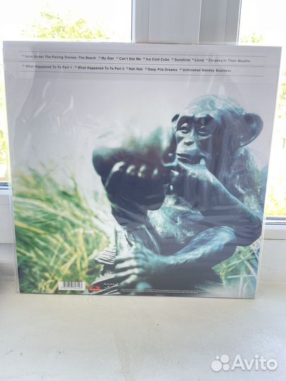 LP - Ian Brown - Unfinished Monkey Business