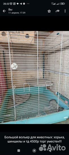 Клетка для грызунов очень большая