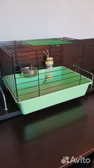 Клетка для морской свинки