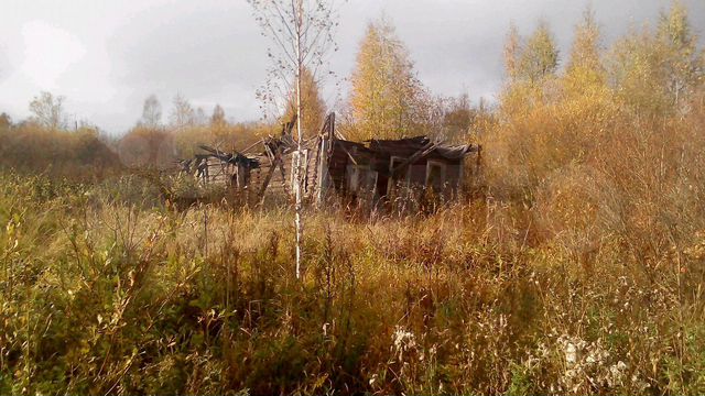 Назиевское городское поселение ленинградская область