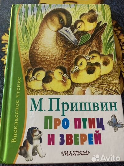 Пришвин, про птиц