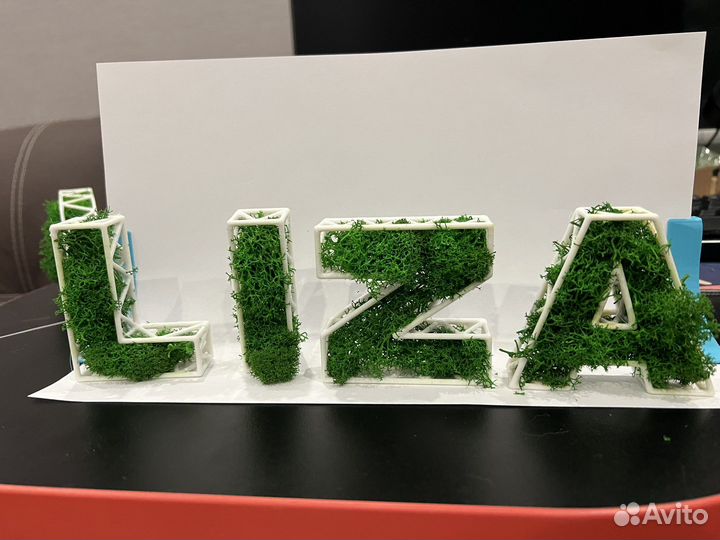 Буквы из мха