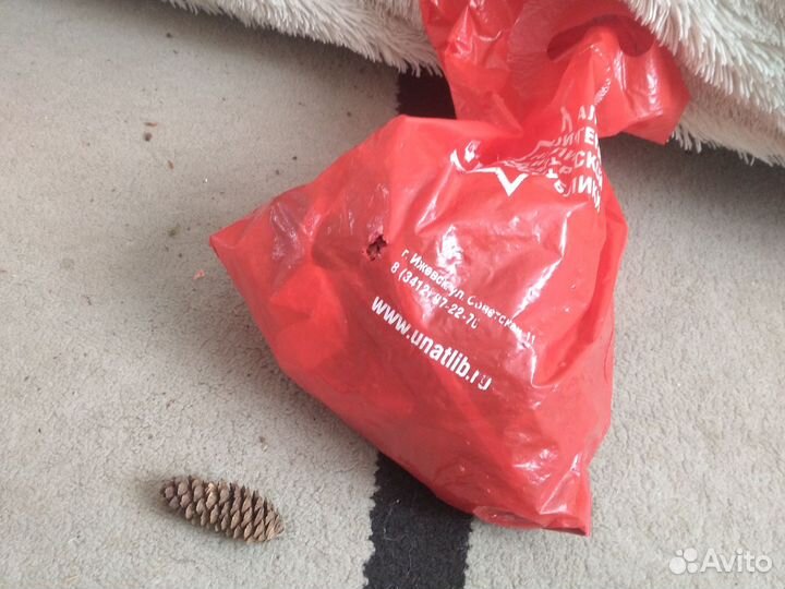 Шишки для поделок