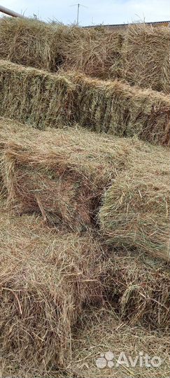 Сено в тюках