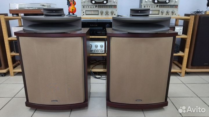 Technics SB-E100 Рупорная Акустика