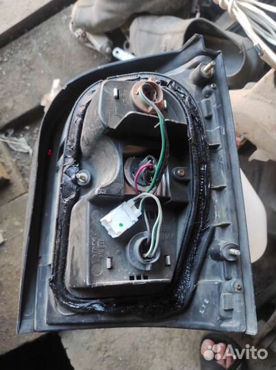 Оптика для Ниссан Марч 2001