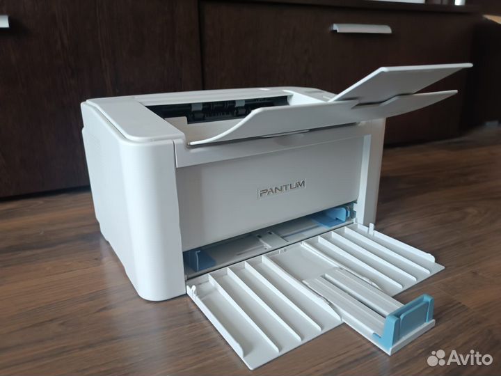 Лазерный принтер Pantum P2200