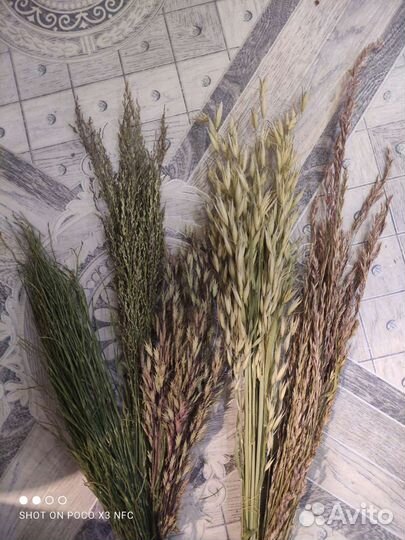 Букет из Сухоцветов